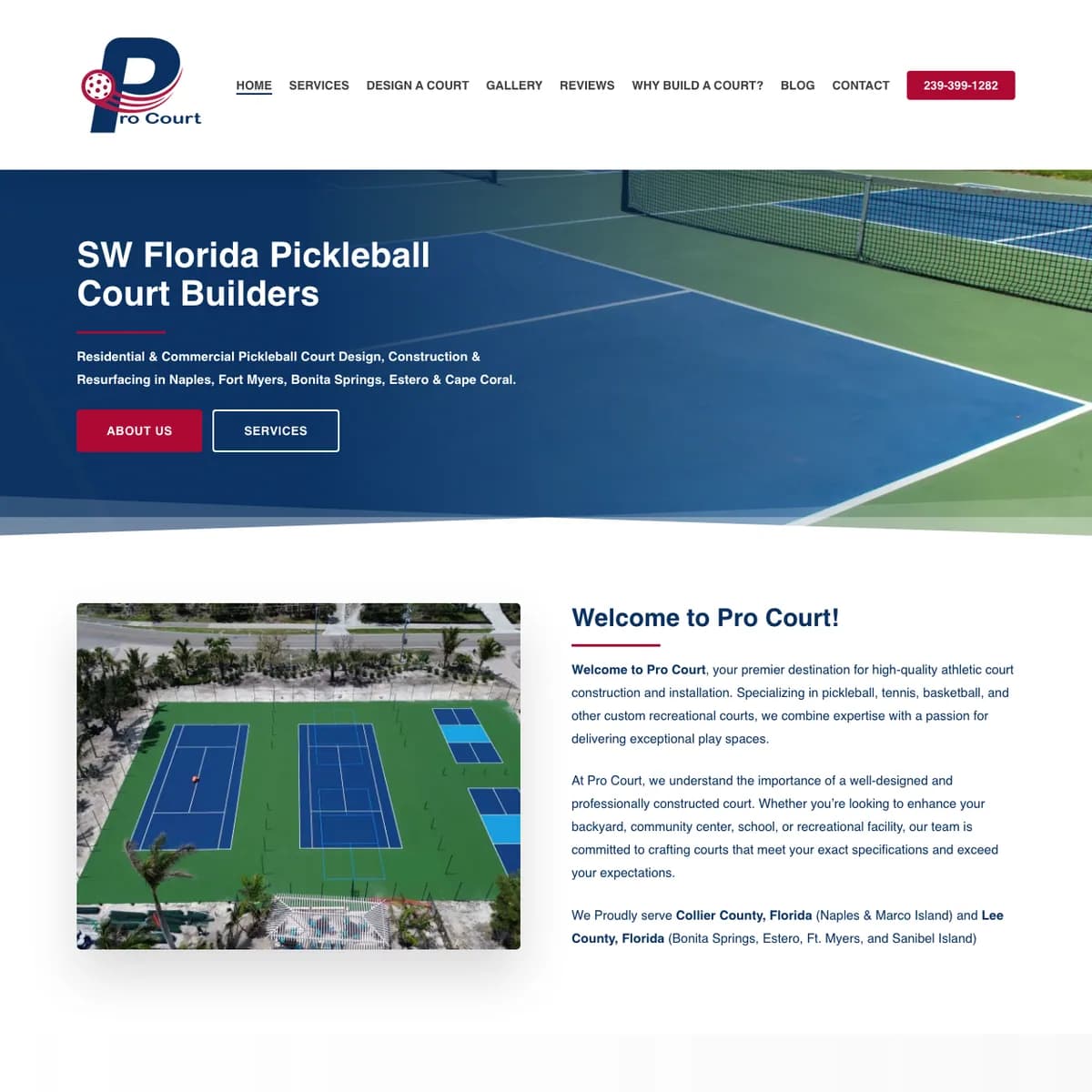 The Pro Court website home page